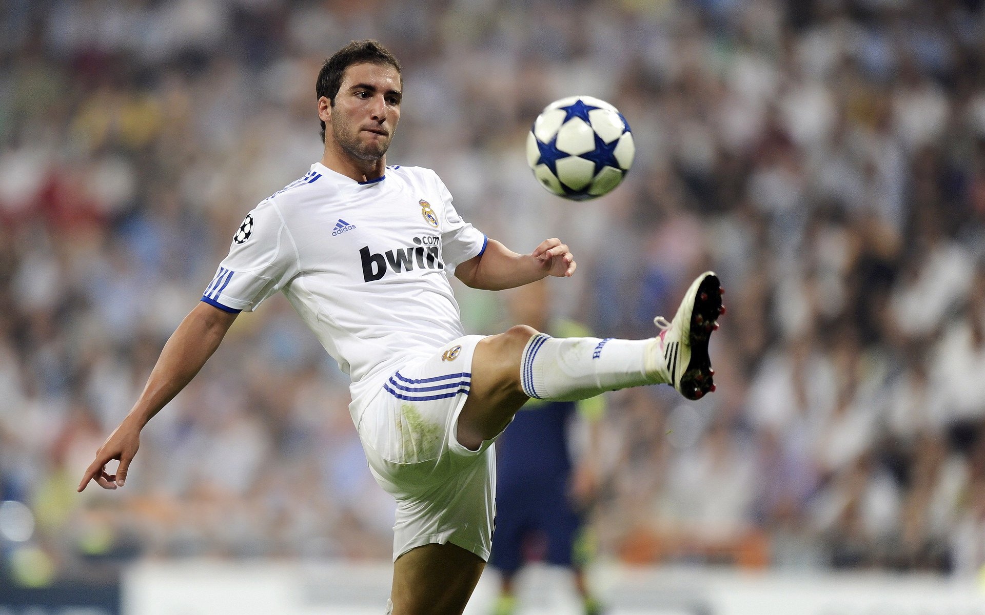 马龙扛旗，绝境新生，法国队一剑封喉终结德国战车